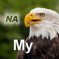 Nature My - North America